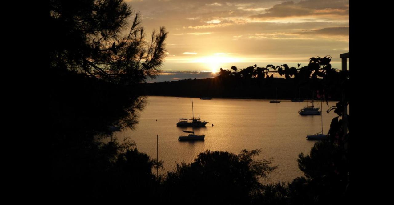 Calm Sea View Apartment Banjole Bagian luar foto