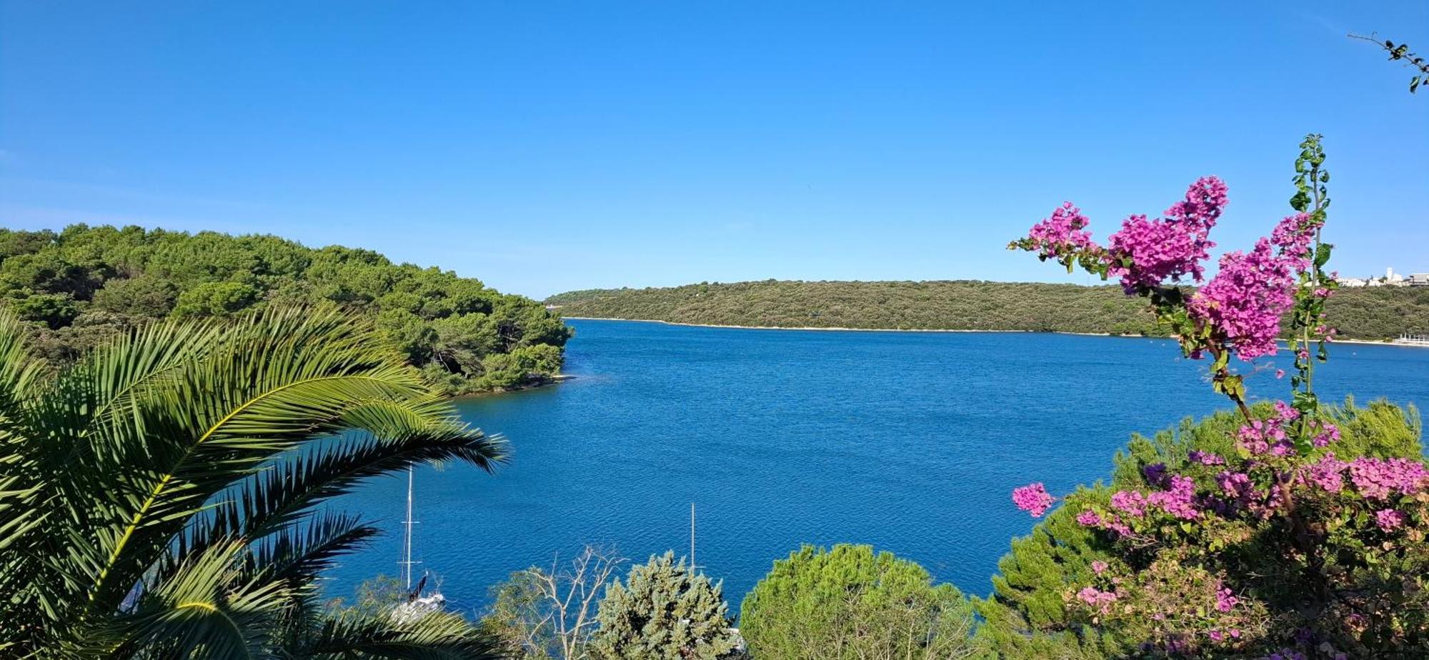 Calm Sea View Apartment Banjole Bagian luar foto